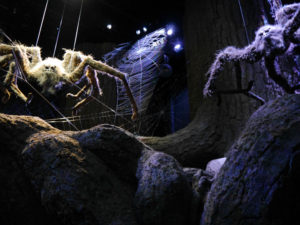 Harry Potter Aragog Verbotener Wald