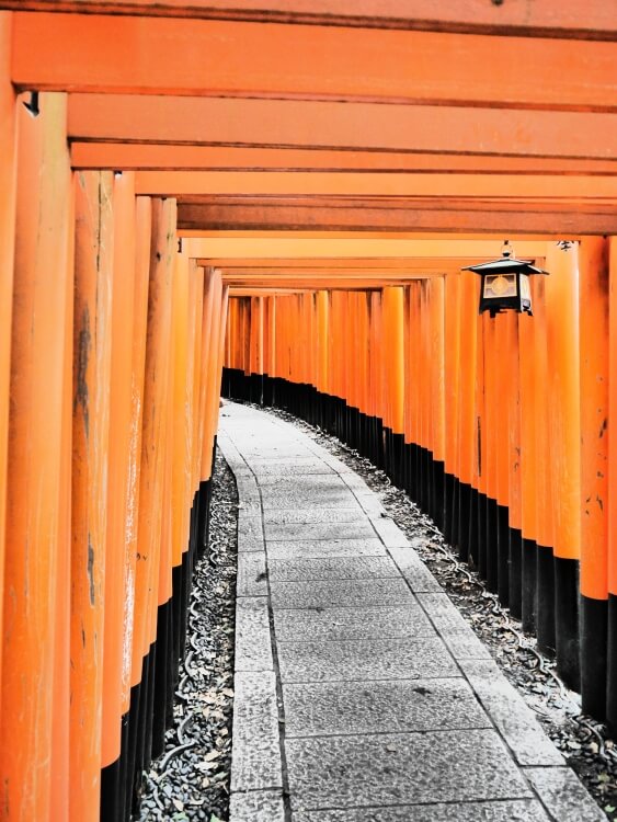 fushimi_inari-taisha_torii-gates